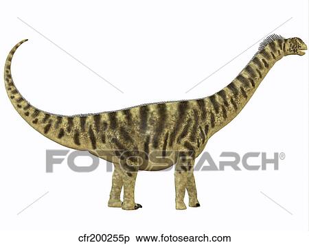 Camarasaurus was a sauropod dinosaur that lived during the Jurassic Age. View Large Illustration Stock Illustration - Camarasaurus was a sauropod dinosaur that lived during the Jurassic Age.. Fotosearch