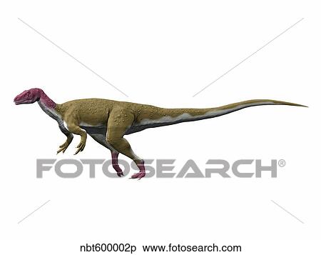 Camarillasaurus cirugedae, Early Cretaceous of Spain. View Large Illustration Stock Illustration - Camarillasaurus cirugedae, Early Cretaceous of Spain.. Fotosearch