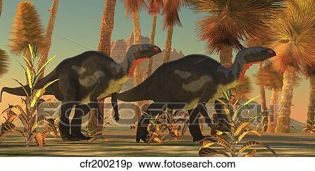Camptosaurus dinosaurs wander through a prehistoric jungle. View Large Illustration Stock Illustration - Camptosaurus dinosaurs wander through a prehistoric jungle.. Fotosearch