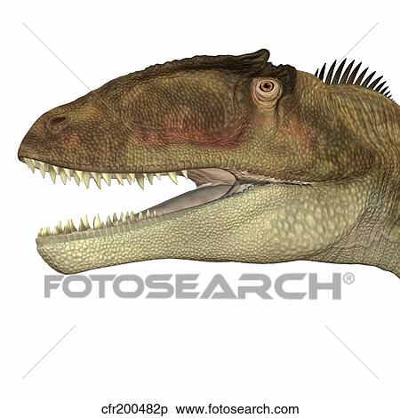 Carcharodontosaurus dinosaur head. View Large Illustration Stock Illustration - Carcharodontosaurus dinosaur head.. Fotosearch