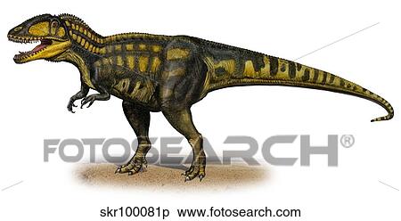 Carcharodontosaurus iguidensis, a prehistoric era dinosaur. View Large Illustration Stock Illustration - Carcharodontosaurus iguidensis, a prehistoric era dinosaur.. Fotosearch