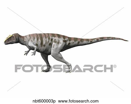 Stock Illustration - Carcharodontosaurus iguidensis, Late Cretaceous of Niger.. Fotosearch