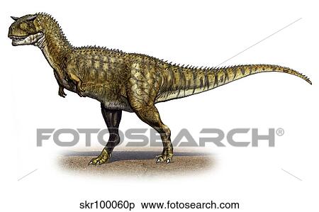 Carnotaurus sastrei, a prehistoric era dinosaur. View Large Illustration Stock Illustration - Carnotaurus sastrei, a prehistoric era dinosaur.. Fotosearch