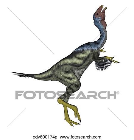 Caudipteryx dinosaur with head up. View Large Illustration Stock Illustration - Caudipteryx dinosaur with head up.. Fotosearch