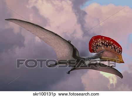 Caupedactylus ybaka, an extinct pterosaur from the Cretaceous Period. View Large Illustration Stock Illustration - Caupedactylus ybaka, an extinct pterosaur from the Cretaceous Period.. Fotosearch
