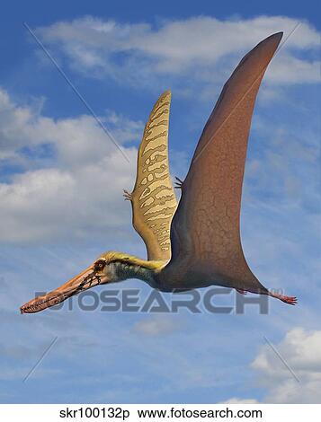 Cearadactylus atrox, a large pterosaur from the Cretaceous Period. View Large Illustration Stock Illustration - Cearadactylus atrox, a large pterosaur from the Cretaceous Period.. Fotosearch