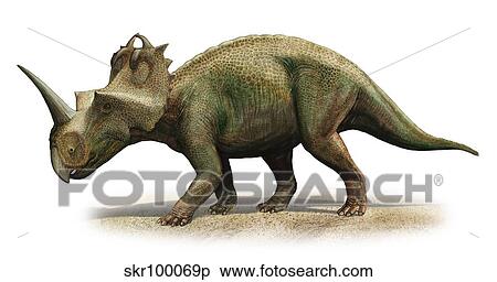 Centrosaurus apertus, a prehistoric era dinosaur. View Large Illustration Stock Illustration - Centrosaurus apertus, a prehistoric era dinosaur.. Fotosearch