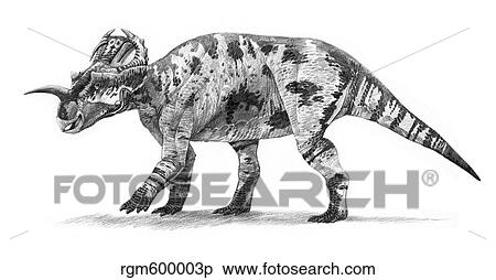 Centrosaurus apertus dinosaur of the Late Cretaceous Period. View Large Illustration Stock Illustration - Centrosaurus apertus dinosaur of the Late Cretaceous Period.. Fotosearch