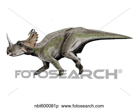 Centrosaurus dinosaur. View Large Illustration Stock Illustration - Centrosaurus dinosaur.. Fotosearch