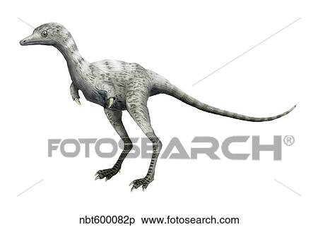 Ceratonykus dinosaur. View Large Illustration Stock Illustration - Ceratonykus dinosaur.. Fotosearch