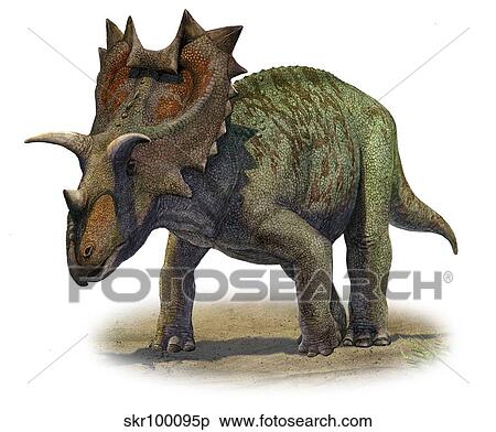 Ceratops montanus, a prehistoric era dinosaur. View Large Illustration Stock Illustration - Ceratops montanus, a prehistoric era dinosaur.. Fotosearch