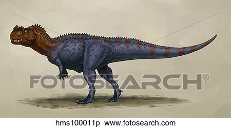Stock Illustration - Ceratosaurus dentisulcatus, a theropod from the Jurassic period.. Fotosearch