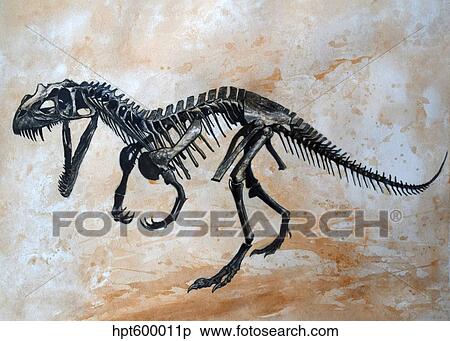 Ceratosaurus dinosaur skeleton. View Large Illustration Stock Illustration - Ceratosaurus dinosaur skeleton.. Fotosearch