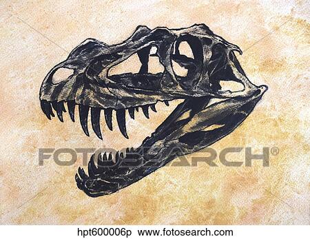 Stock Illustration - Ceratosaurus dinosaur skull.. Fotosearch