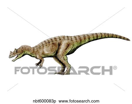 Stock Illustration - Ceratosaurus dinosaur.. Fotosearch