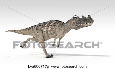 Ceratosaurus dinosaur, white background. View Large Illustration Stock Illustration - Ceratosaurus dinosaur, white background.. Fotosearch