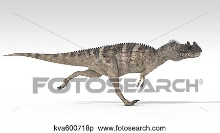 Ceratosaurus dinosaur, white background. View Large Illustration Stock Illustration - Ceratosaurus dinosaur, white background.. Fotosearch