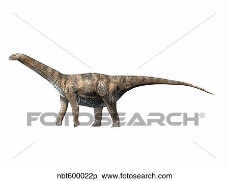 Cetiosaurus oxoniensis, Middle Jurassic of England. View Large Illustration Stock Illustration - Cetiosaurus oxoniensis, Middle Jurassic of England.. Fotosearch