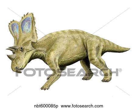 Chasmosaurus dinosaur. View Large Illustration Stock Illustration - Chasmosaurus dinosaur.. Fotosearch