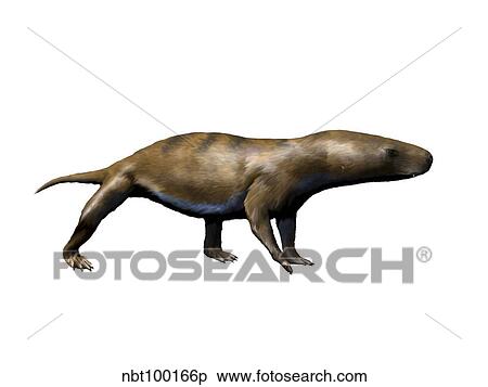 Chiniquodon is a carnivorous therapsid from the Late Triassic. View Large Illustration Stock Illustration - Chiniquodon is a carnivorous therapsid from the Late Triassic.. Fotosearch