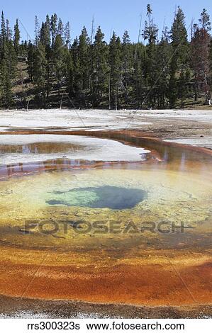 Chromatic Pool Hot Spring, Upper Geyser Basin geothermal area, Yellowstone National Park, Wyoming. View Large Photo Image Stock Photograph - Chromatic Pool Hot Spring, Upper Geyser Basin geothermal area, Yellowstone National Park, Wyoming.. Fotosearch