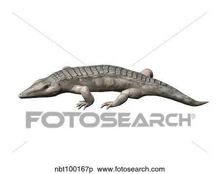 Chroniosuchus is an extinct animal from the Paleozoic Era. View Large Illustration Stock Illustration - Chroniosuchus is an extinct animal from the Paleozoic Era.. Fotosearch