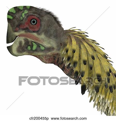 Stock Illustration - Citipati dinosaur head.. Fotosearch