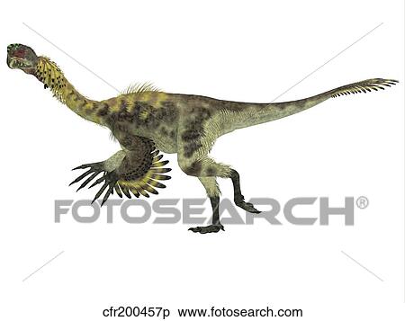 Stock Illustration - Citipati dinosaur, white background.. Fotosearch