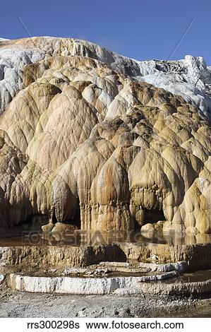 Stock Photograph - Cleopatra Terrace, Mammoth Hot Springs geothermal area, Yellowstone National Park, Wyoming.. Fotosearch