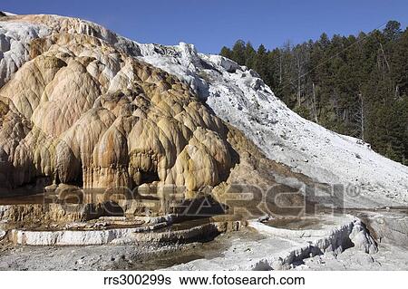 Stock Photograph - Cleopatra Terrace, Mammoth Hot Springs geothermal area, Yellowstone National Park, Wyoming.. Fotosearch