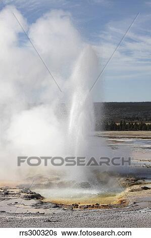 Clepsydra Geyser eruption, Upper Geyser Basin geothermal area, Yellowstone National Park. View Large Photo Image Stock Photograph - Clepsydra Geyser eruption, Upper Geyser Basin geothermal area, Yellowstone National Park.. Fotosearch