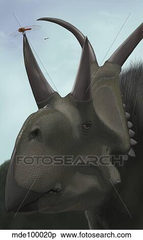 Close-up of Diabloceratops. View Large Illustration Stock Illustration - Close-up of Diabloceratops.. Fotosearch