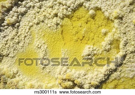 Stock Photograph - Close-up of yellow salt crystals in the Dallol geothermal area, Danakil Depression, Ethiopia.. Fotosearch