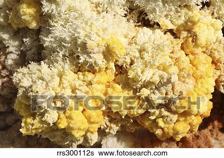 Close-up of yellow salt crystals in the Dallol geothermal area, Danakil Depression, Ethiopia. View Large Photo Image Stock Photograph - Close-up of yellow salt crystals in the Dallol geothermal area, Danakil Depression, Ethiopia.. Fotosearch