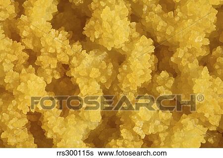 Close-up of yellow salt crystals in the Dallol geothermal area, Danakil Depression, Ethiopia. View Large Photo Image Stock Photograph - Close-up of yellow salt crystals in the Dallol geothermal area, Danakil Depression, Ethiopia.. Fotosearch