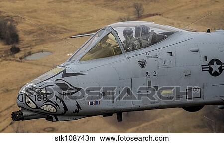 Picture - Close-up view of the nose cone on an A-10 Thunderbolt II.. Fotosearch
