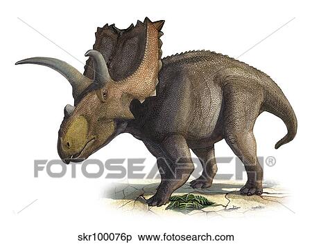 Coahuilaceratops magnacuerna, a prehistoric era dinosaur. View Large Illustration Stock Illustration - Coahuilaceratops magnacuerna, a prehistoric era dinosaur.. Fotosearch