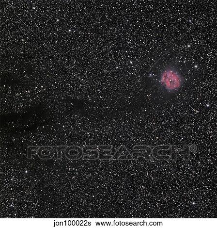 Cocoon Nebula View Large Photo Image Stock Photograph - Cocoon Nebula. Fotosearch