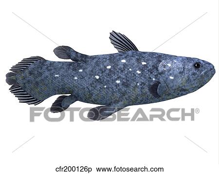 Stock Illustration - Coelacanth fish against white background.. Fotosearch