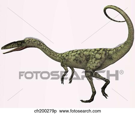 Stock Illustration - Coelophysis bauri dinosaur from the Triassic Period.. Fotosearch