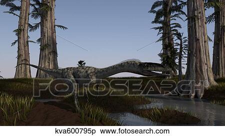 Coelophysis dinosaur running. View Large Illustration Stock Illustration - Coelophysis dinosaur running.. Fotosearch
