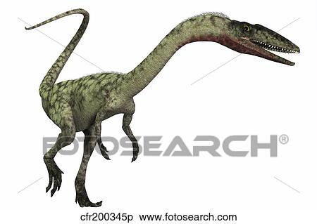 Coelophysis dinosaur. View Large Illustration Stock Illustration - Coelophysis dinosaur.. Fotosearch