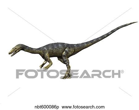 Coelophysis dinosaur. View Large Illustration Stock Illustration - Coelophysis dinosaur.. Fotosearch