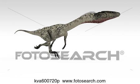 Coelophysis dinosaur, white background. View Large Illustration Stock Illustration - Coelophysis dinosaur, white background.. Fotosearch