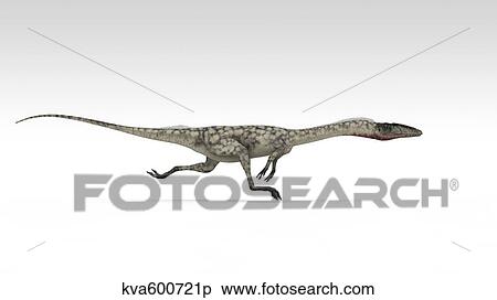 Coelophysis dinosaur, white background. View Large Illustration Stock Illustration - Coelophysis dinosaur, white background.. Fotosearch