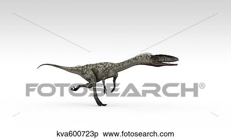Coelophysis dinosaur, white background. View Large Illustration Stock Illustration - Coelophysis dinosaur, white background.. Fotosearch