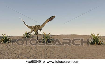 Coelophysis running across desert terrain. View Large Illustration Stock Illustration - Coelophysis running across desert terrain.. Fotosearch