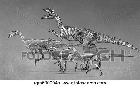 Coelophysoid diversity from the Late Triassic to Early Jurassic Period. View Large Illustration Stock Illustration - Coelophysoid diversity from the Late Triassic to Early Jurassic Period.. Fotosearch