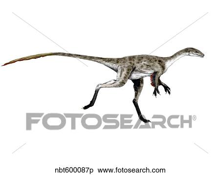 Coelurus dinosaur. View Large Illustration Stock Illustration - Coelurus dinosaur.. Fotosearch
