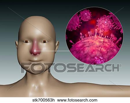 Drawing - Common cold influenza virus with microscopic close-up.. Fotosearch